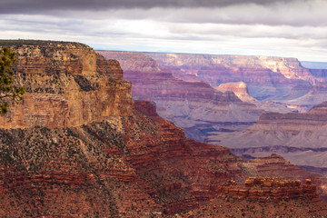 Grand Canyon on a fall day