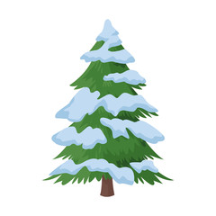 pine tree with snow icon, colorful design