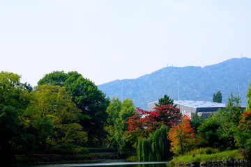 Fototapeta na wymiar 中島公園の風景