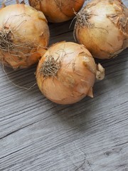 Korean fresh organic vegetable onion