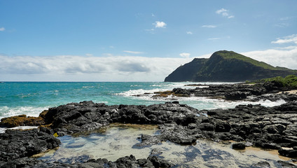 hawaii ocean shoreline with rocky coast - Powered by Adobe