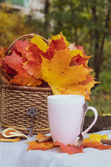 autumn tea party. cup with tea and maple leaves. Maple leaves in a basket.