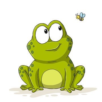 Funny cartoon frog with bee. Hand drawn vector illustration with separate layers.