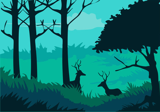 forest with trees for background and illustration image