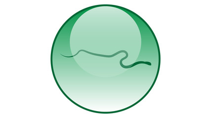 Snake icon vector design. Reptiles icons