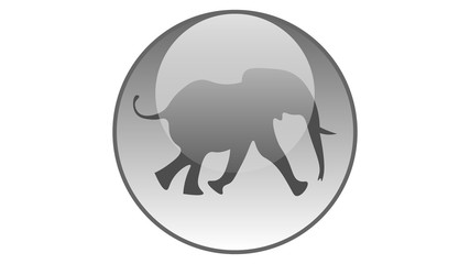 Elephant icon vector design. Wildlife icons