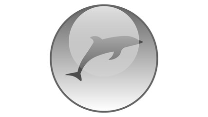 Obraz premium Dolphin icon vector design. Sea animals