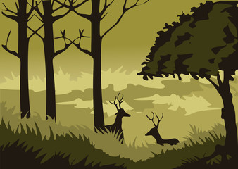 forest with trees for background and illustration image