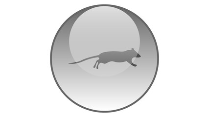 Rat icon vector design. Rat silhouette	