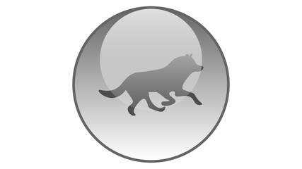 Wolf icon vector design. Northern dog