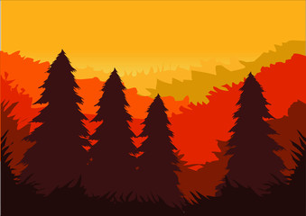 Obraz premium pine forest panorama for background and illustartion image