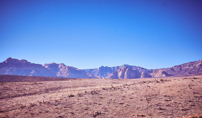 Nevada Desert Landscape