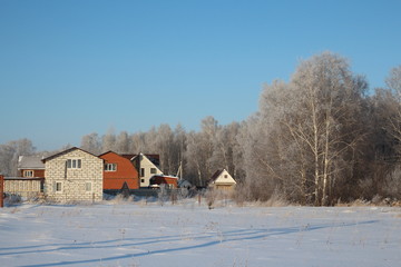 a village with houses in the winter forest of trees in the snow are birches a magnificent landscape of Siberian nature