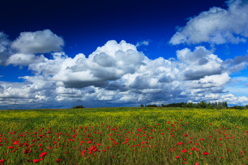 Beautiful summer fields and storm clouds in a remote rural area in Europe