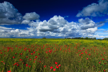 Beautiful summer fields and storm clouds in a remote rural area in Europe