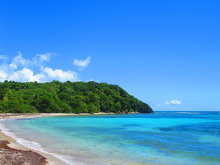 La mer turquoise avec une plage de sable blanc et une forêt sous un ciel sans nuage