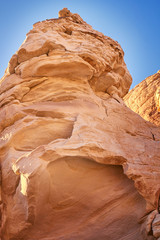 Nevada Desert Landscape