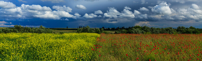 Scenic rural fields in summer, in a agricultural area in Romania, with green fields of wheat, poppy flowers, and storm clouds