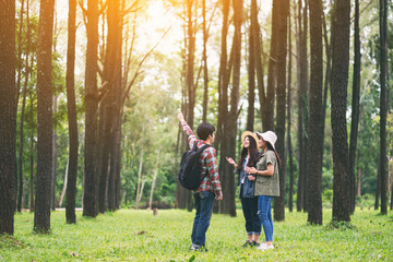 Fototapeta premium Grupa podróżników spacerujących po pięknym sosnowym lesie