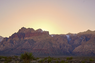 Nevada Desert Landscape