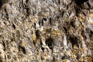 Cliffs and rock formations along the coastline of the Coromandel Peninsula