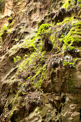Inside a collapsed sea cave