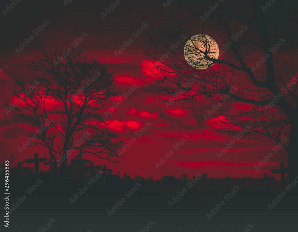 Wall mural halloween backdrop with the old grunge plank wood board and the silhouette trees with full moon and 