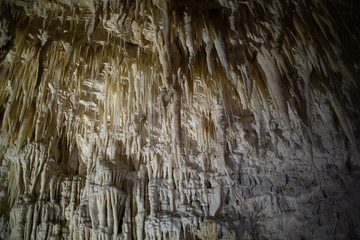 Ruakuri caves on New Zealands north island