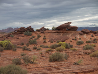 Typical Arizona desert landscape with red soil, green bushes, moody sky and beautiful wave shaped...