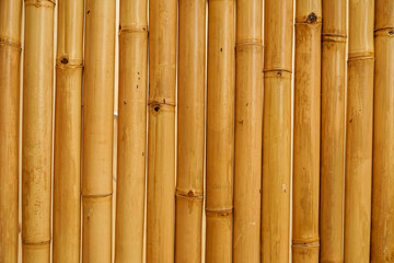 Bamboo background wallpaper