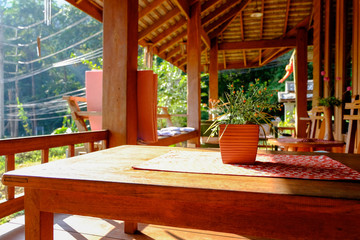 Flowers  pot on wooden table  at home,Thailand 