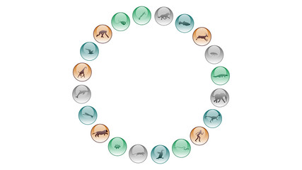 Diversity of life forms. Life evolution illustration vector design. Animals icons