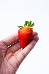 Hand holding one strawberry on isolated white background