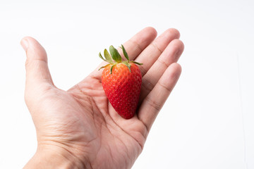 Hand holding one strawberry on isolated white background