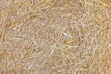 Dry straw with wire Mesh Texture Background