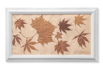 Dried leaves in white wooden frame isolated with clipping path