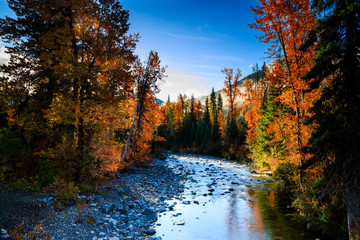 Stunning autumn colors along creek in early morning