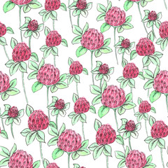  Seamless pattern of clover on a white background