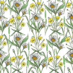 Seamless pattern of chamomile and buttercus