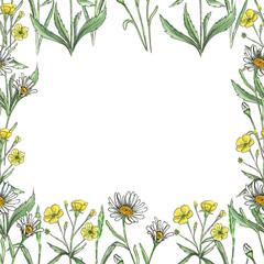 Watercolor meadow flowers. Seamless frame