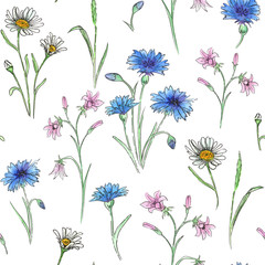 Watercolor meadow flowers.  Seamless pattern of wildflowers on a white background