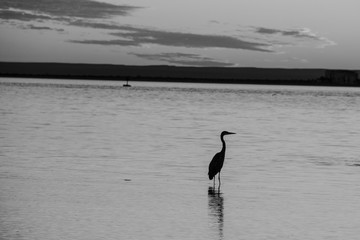 Atardecer en la playa