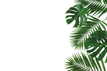 tropical green palm, monstera leaves , branches pattern isolated on a white background. top...