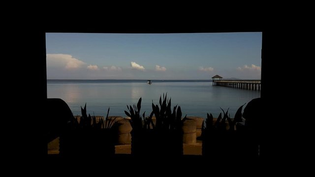 Looking out of of a dark room to a view of a tropical paradise