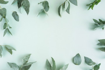 green eucalyptus leaves, branches frame on a pastel mint color background. flat lay, top view. copy space © irenastar