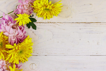 Beautiful chrysanthemums on white wooden background. Top view, copy space