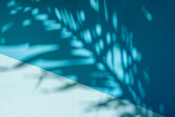 shadow palm leaf on blue concrete background