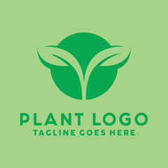 Plant Logo Design Inspiration For Business And Company
