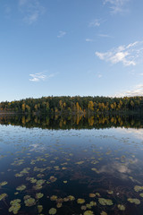 Reflective scenery during fall.
