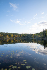 Reflective scenery during fall.